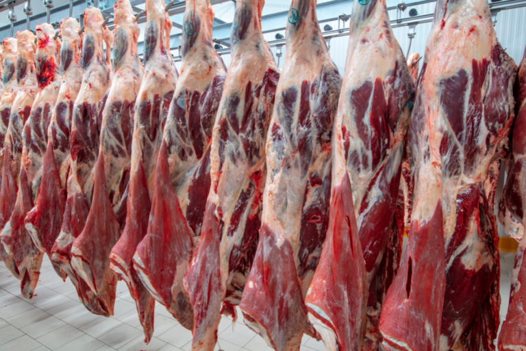 Carne bovina: Abrafrigo prevê perda de US$ 1,3 bilhão em 2025 com tarifa dos EUA
