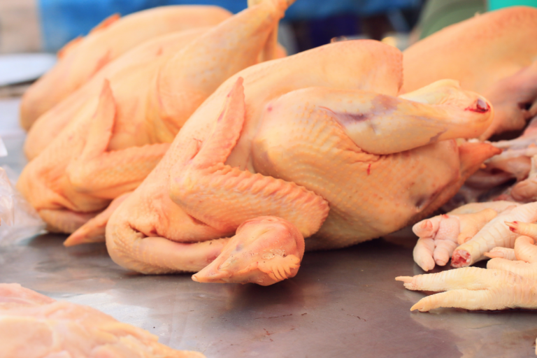 Santa Catarina bate recorde e exporta 328 mil toneladas de carnes