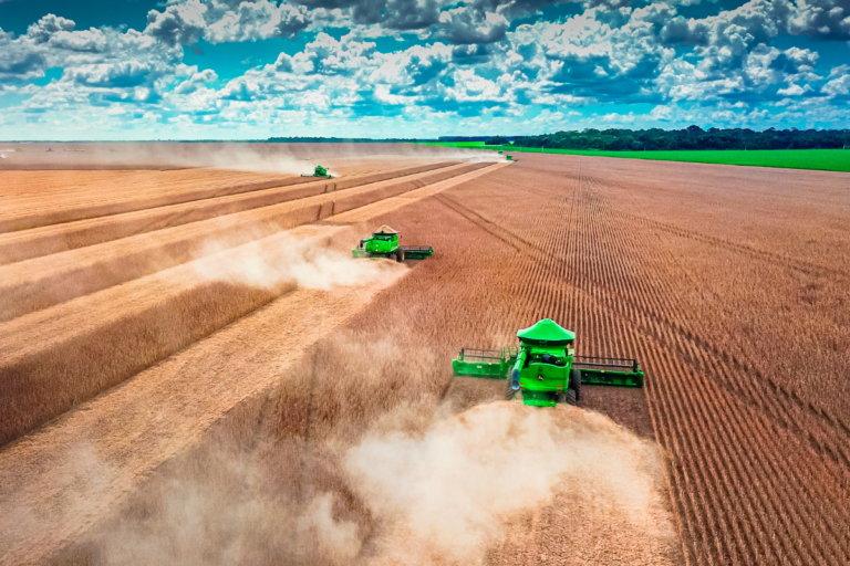 Colheita de soja atinge 82% no país, mostra AgRural