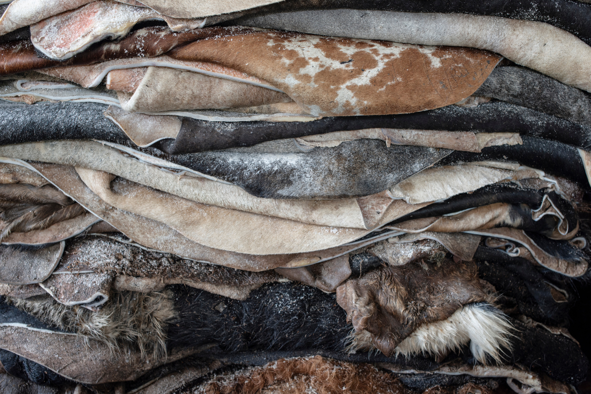 Foto: Adobe Stock