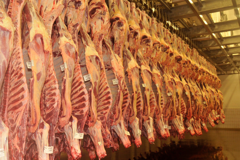 USDA prevê alta de 1,3% nas importações de carne bovina pela China em 2025