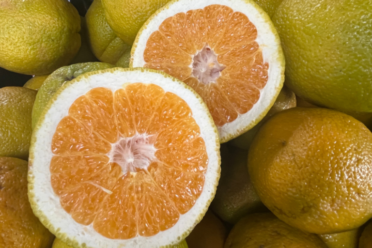 Laranja volta a subir após recuo em fevereiro
