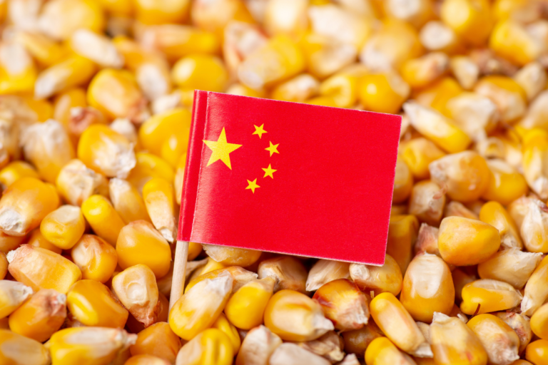 China: importação de milho cai 93% no 1º semestre do ano