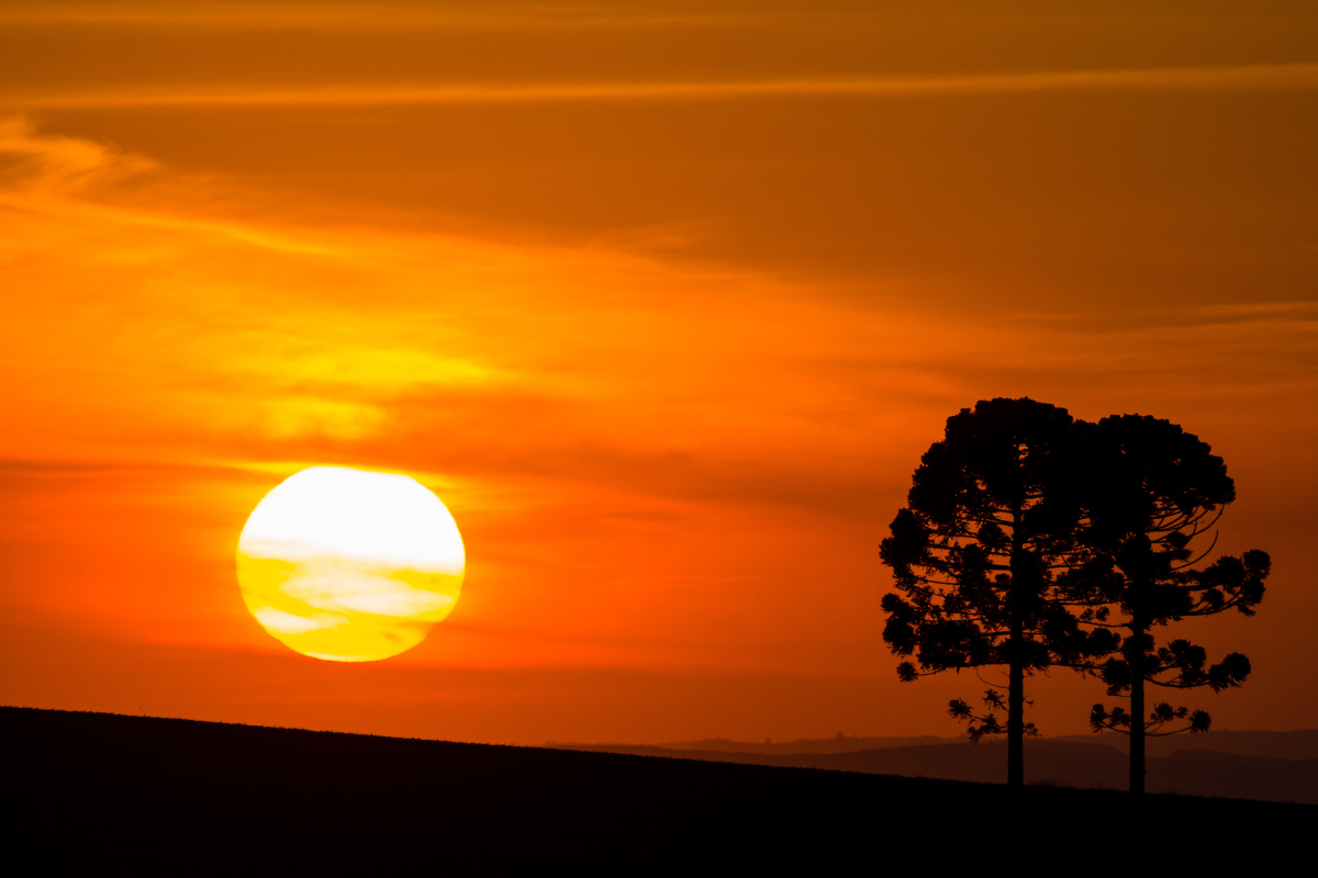 Foto: Adobe Stock      