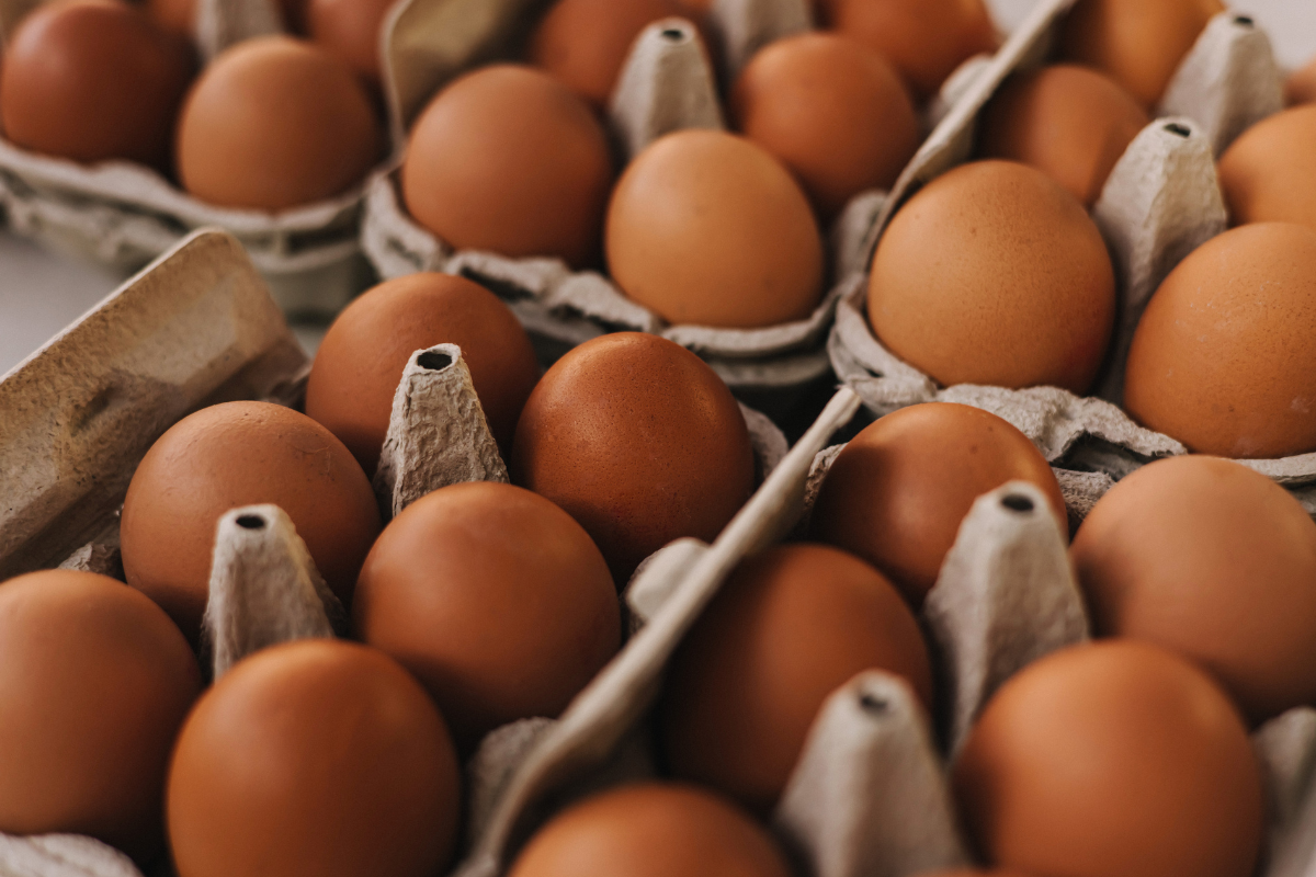 Foto: Adobe Stock   