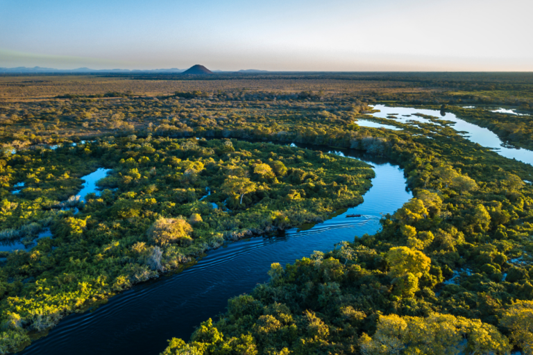 Produtores do MS serão remunerados por preservação do Pantanal