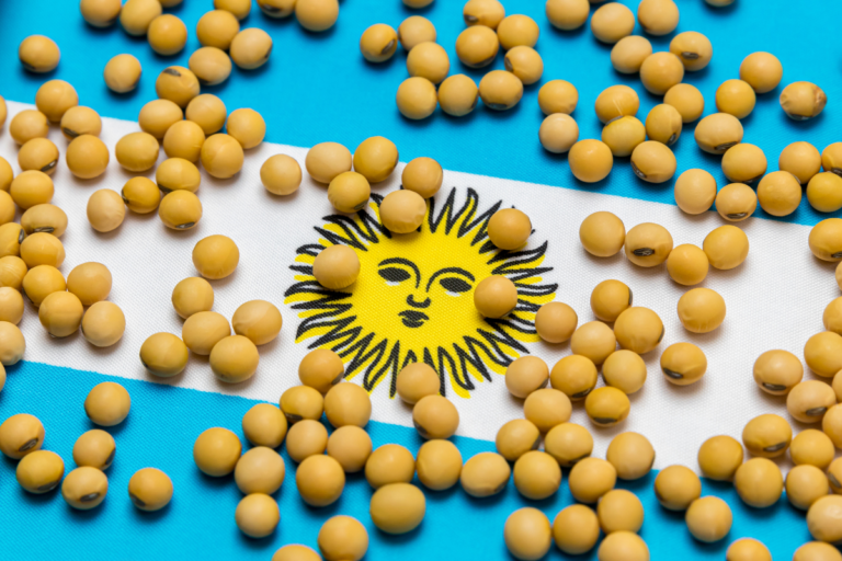 Bolsa de Cereais de Buenos Aires reduz estimativa da safra de soja 2024/25