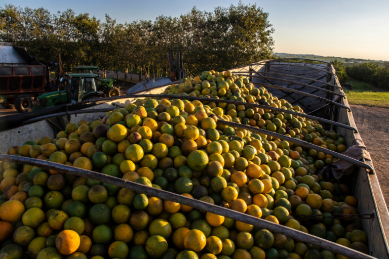 Agronegócio paulista tem superávit de US$ 1,3 bilhão em fevereiro