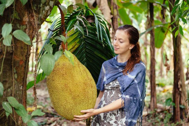 Maior fruta do mundo: a jaca também é gigante em benefícios