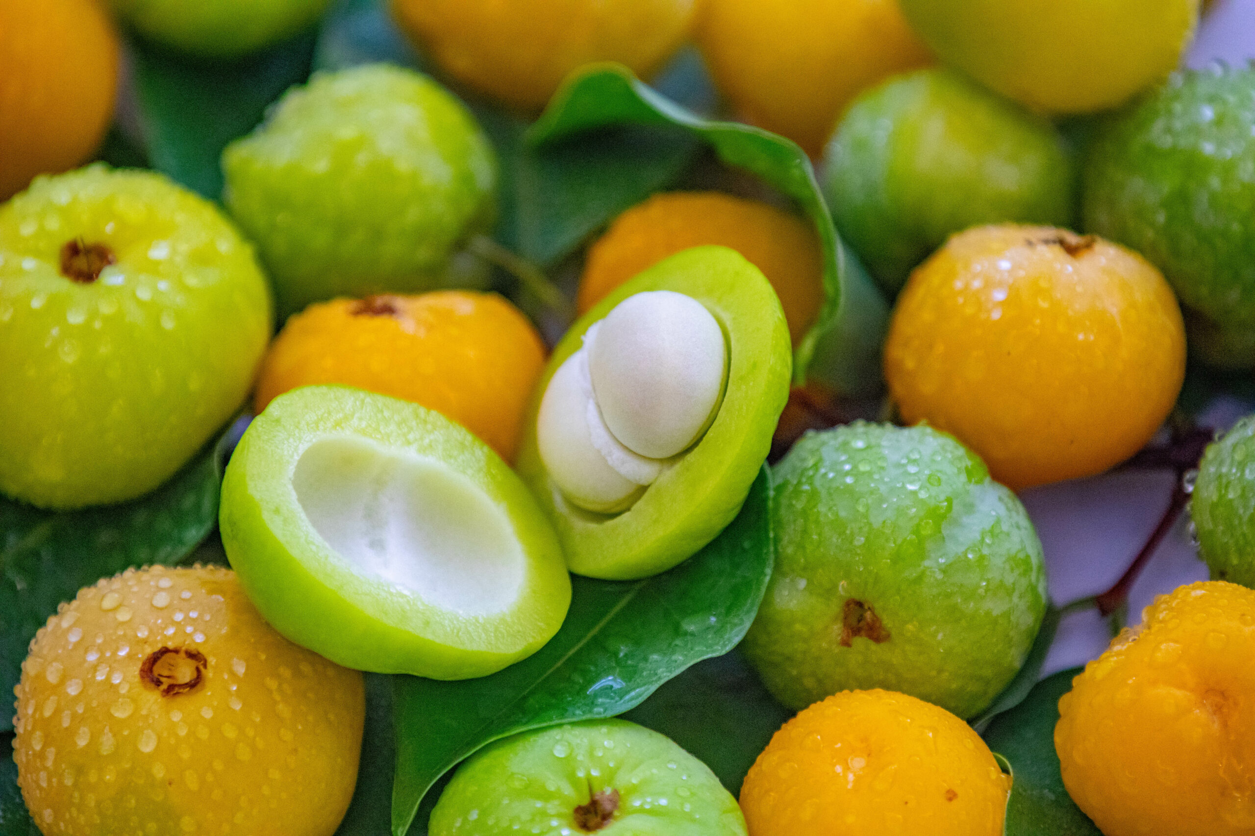 Foto: Adobe Stock