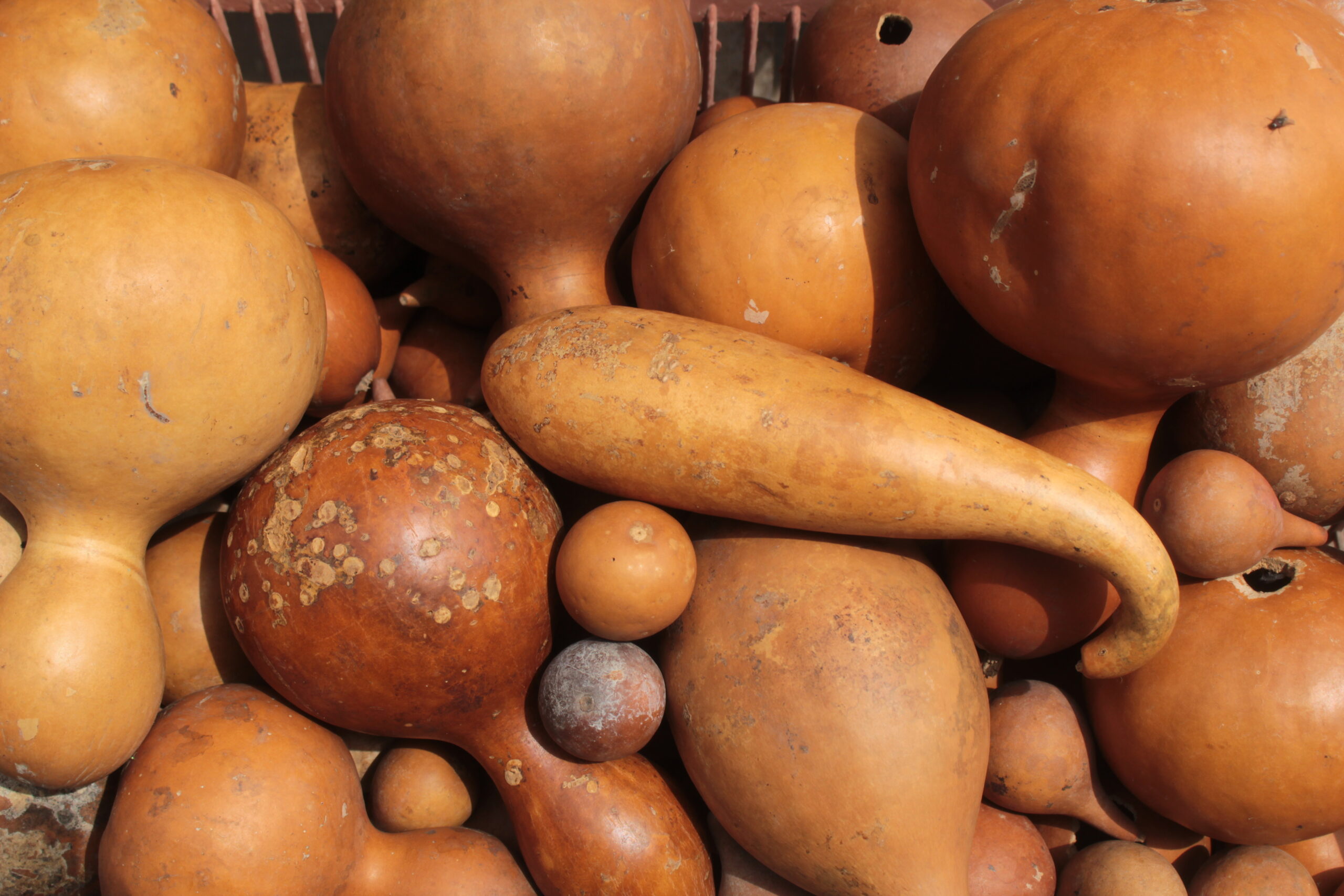 Foto: Adobe Stock
