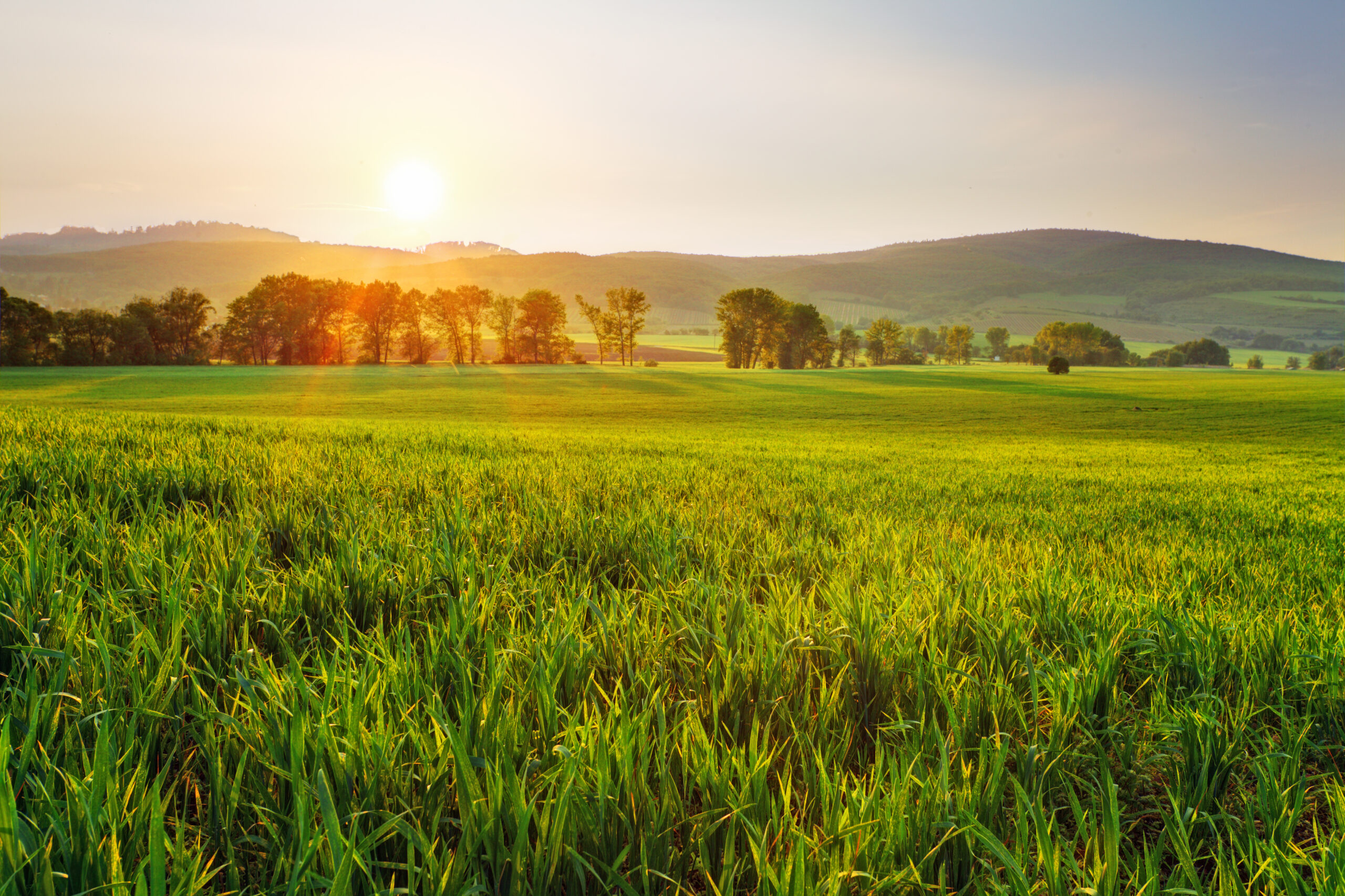 Foto: Adobe Stock