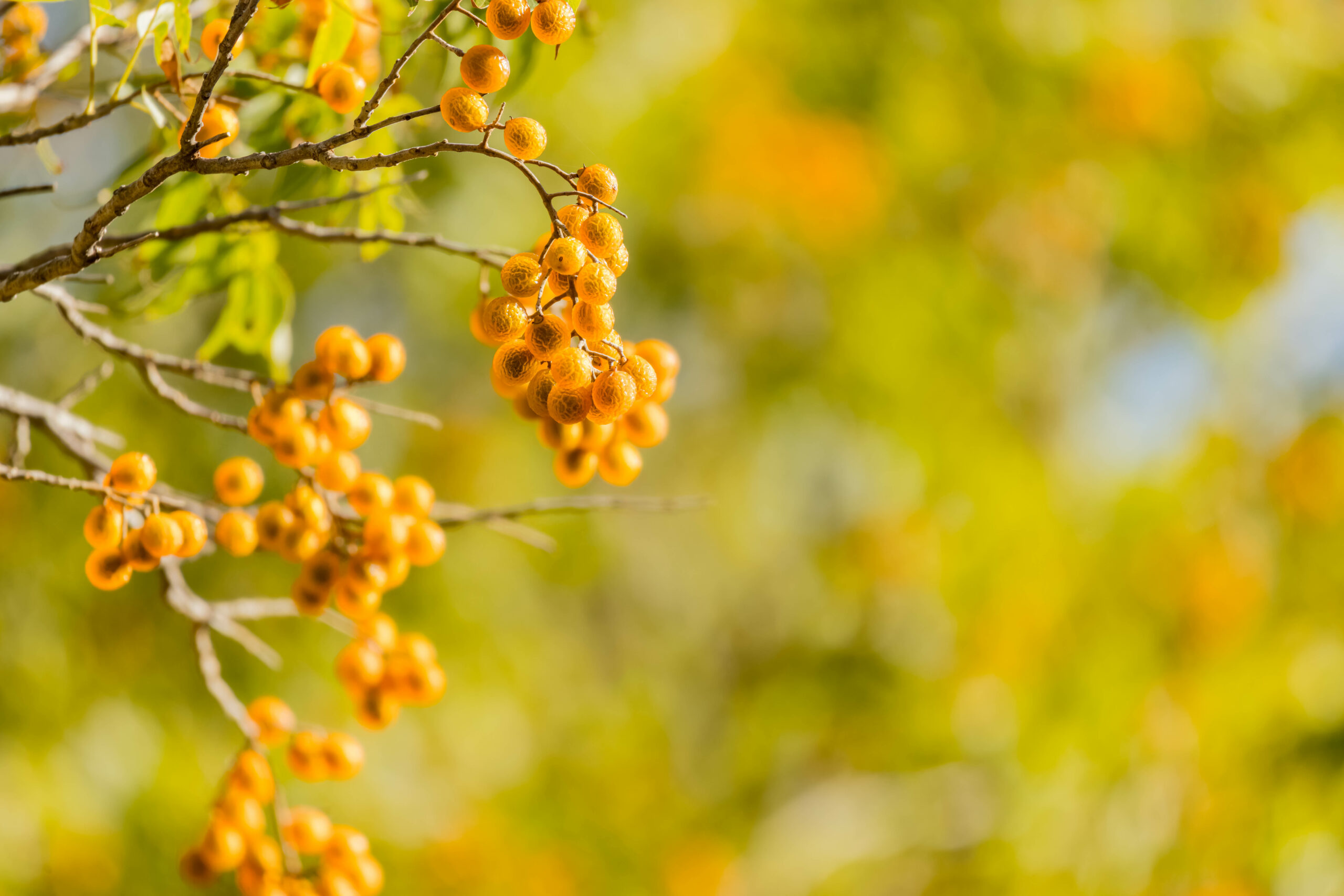 Foto: Adobe Stock