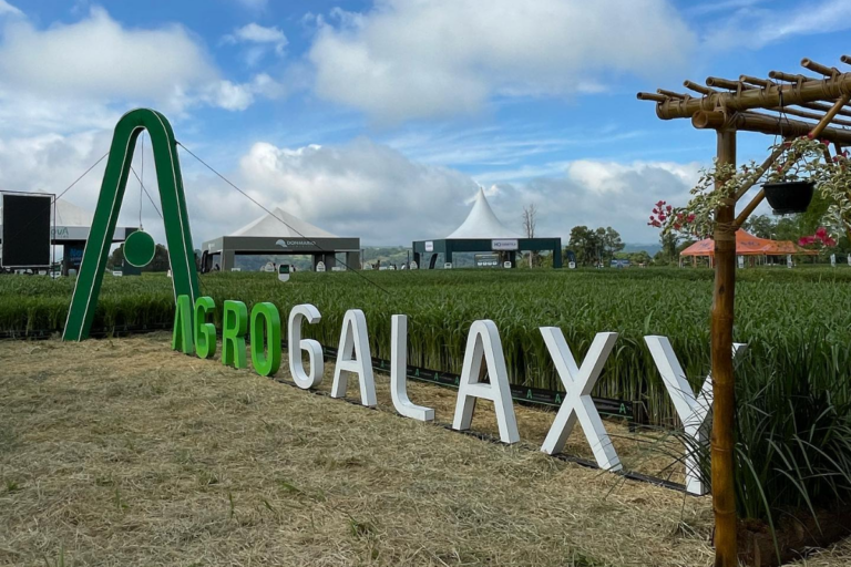 AgroGalaxy agrupará ações na B3