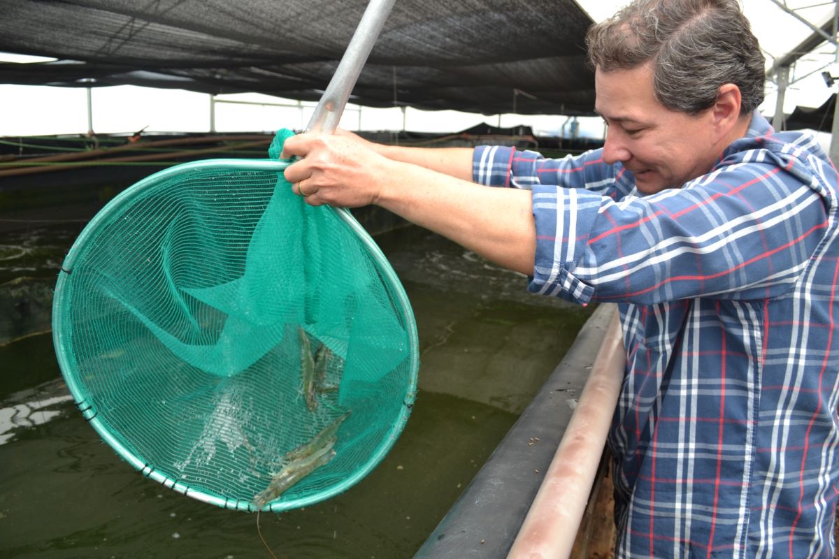 Fábio Sussel acredita que pesquisa poderá oferecer alternativa de renda a médios e pequenos produtores - Foto: Arquivo pessoal
