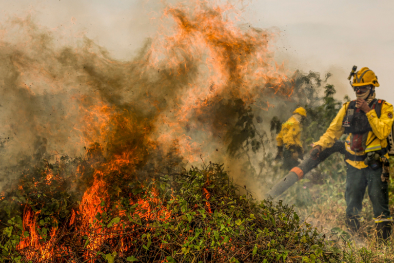 Câmara aprova pacote de medidas para reforçar combate a incêndios florestais
