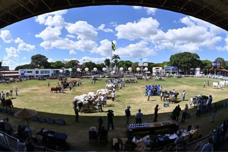 ABCZ lança 90ª ExpoZebu e espera superar R$ 200 milhões em negócios