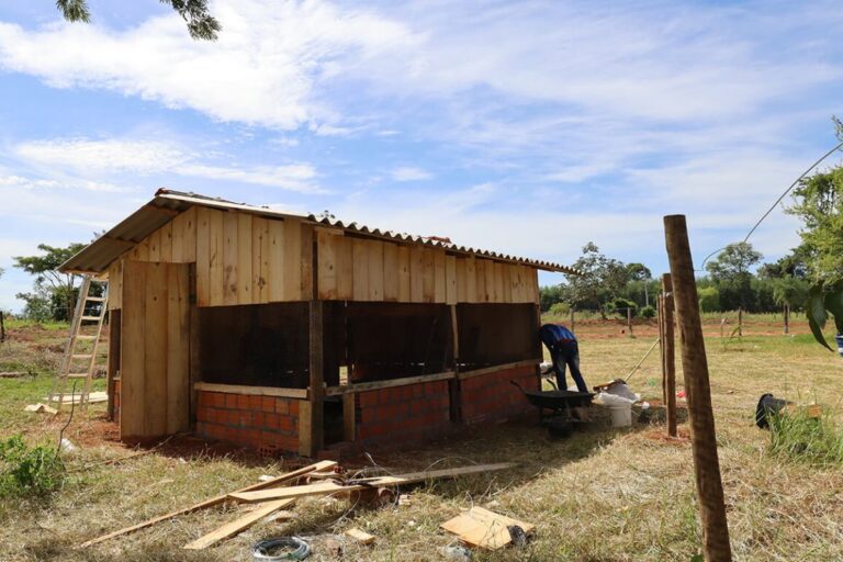 PR: agro está em alerta para riscos sanitários com projeto de galinheiros comunitários