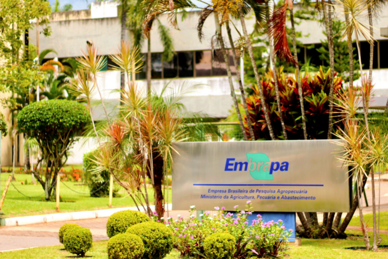 Embrapa espera aval da AGU para captar R$ 100 milhões com royalties 