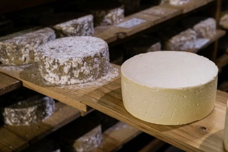 Caminho do Queijo Artesanal Paulista inclui produtos maturados em cavernas