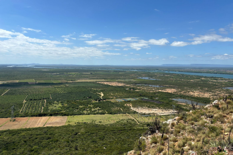 Codevasf planeja entregar 118 mil hectares de área irrigada em 10 anos