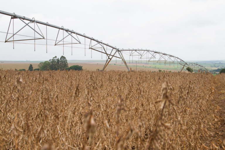 VBP agropecuário de Goiás deve alcançar o recorde de R$ 119,4 bi