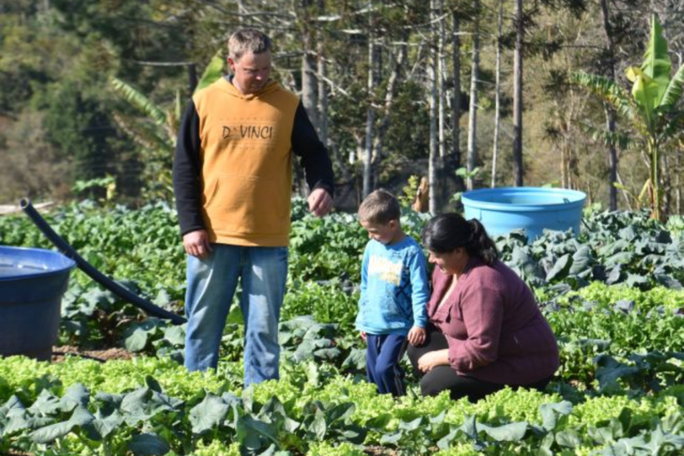 SC destinará R$ 258 mi para programas da agricultura familiar