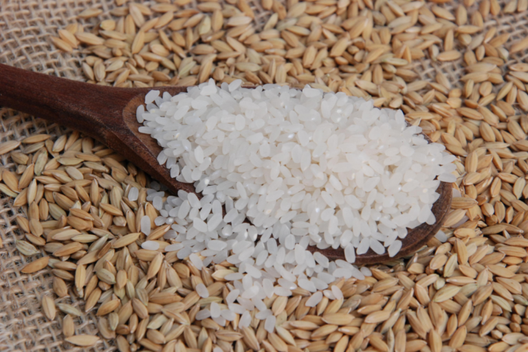 Leilões da Conab negociam 109,2 mil toneladas de arroz