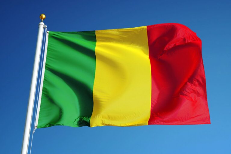 Brasil recebe autorização para exportar 7 produtos agropecuários para Mali