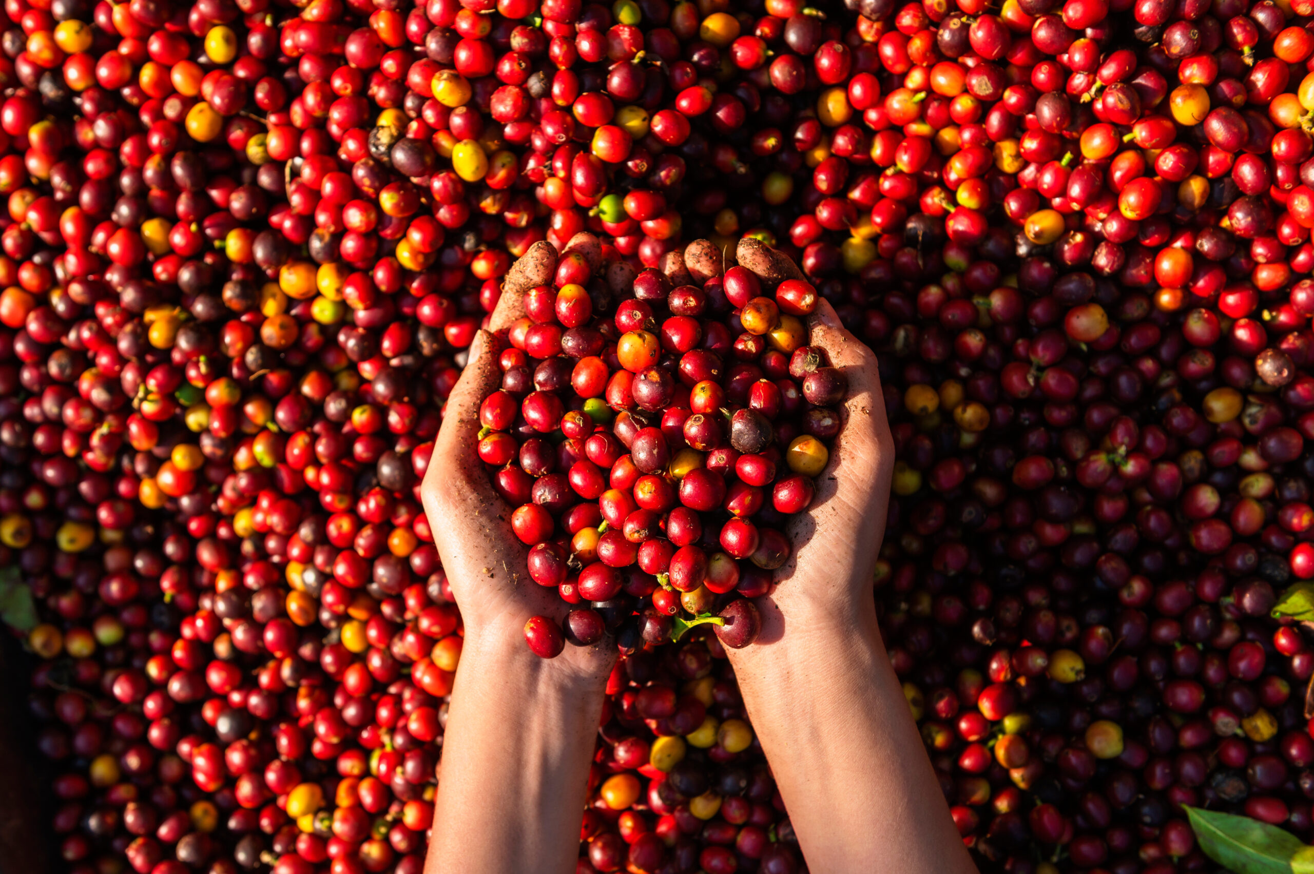 Foto: Adobe Stock