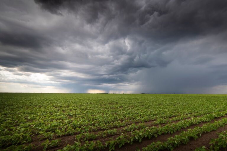 Chuva a caminho: veja onde o calor vai dar trégua