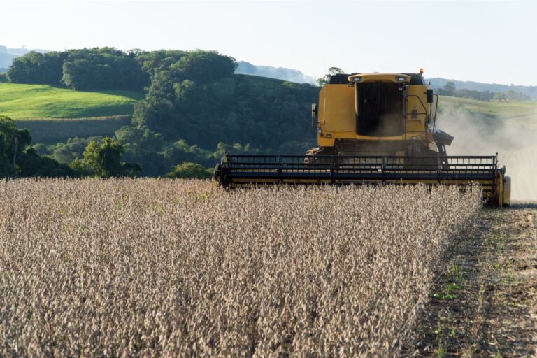Retração do PIB da Agropecuária não deve seguir em 2025, indica CNA