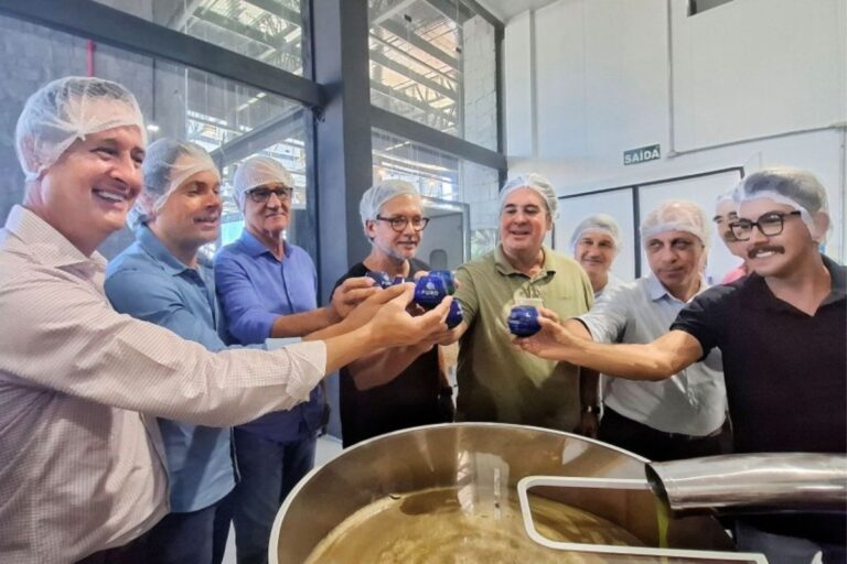 Colheita da oliva tem expectativa de safra maior que ano passado