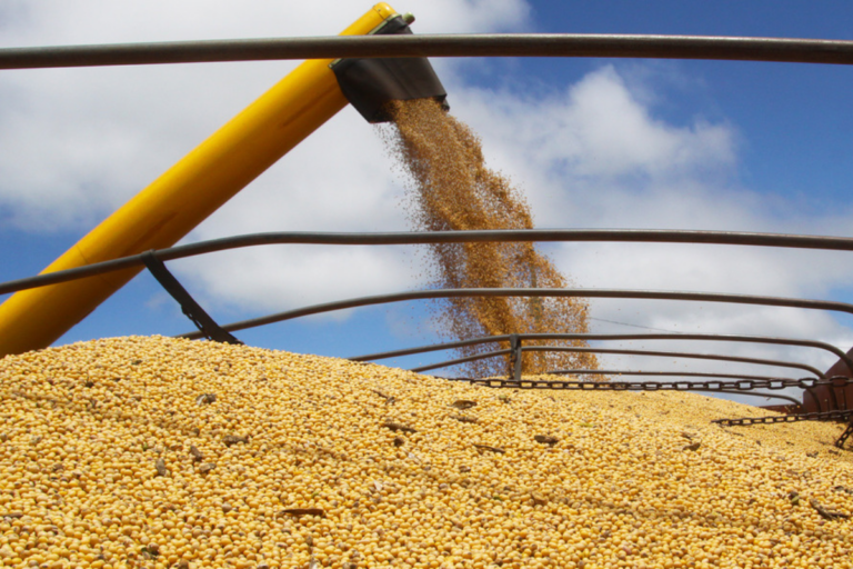 Colheita de soja avança para 81% da área no Paraná