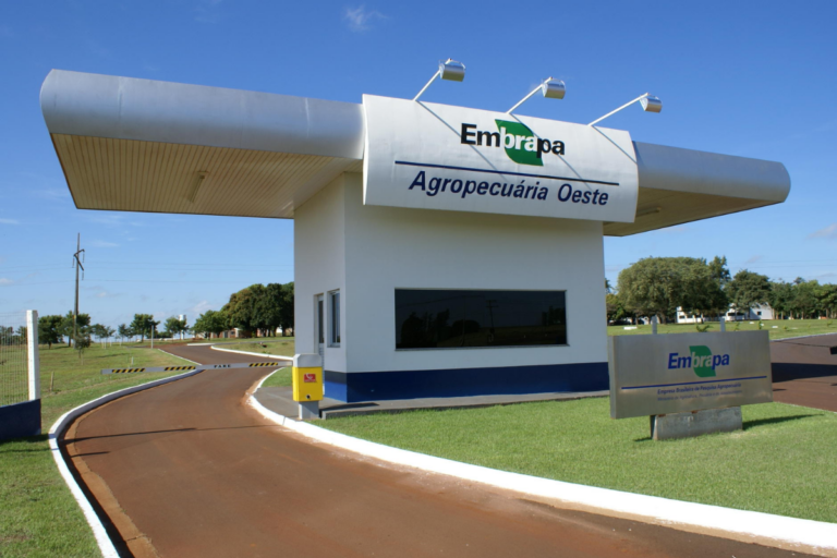 “A meta é elevar os investimentos em pesquisa da Embrapa para R$ 1 bi”, afirma Roberto Rodrigues