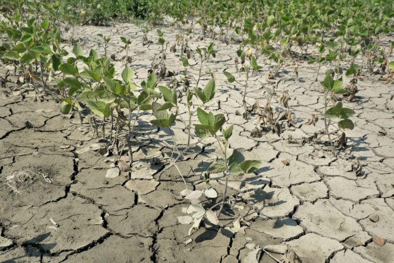 Farsul vai apresentar estudo sobre uso do Fundo do Pré-sal para prorrogar dívidas
