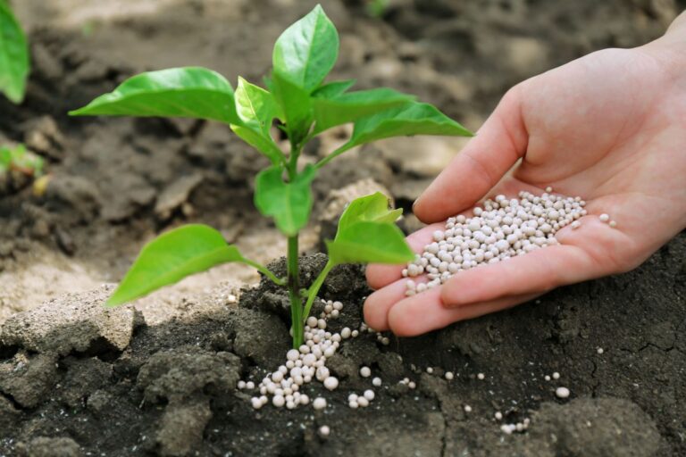 Anda: entregas de fertilizantes ao mercado interno caem 0,5% em 2024 ante 2023