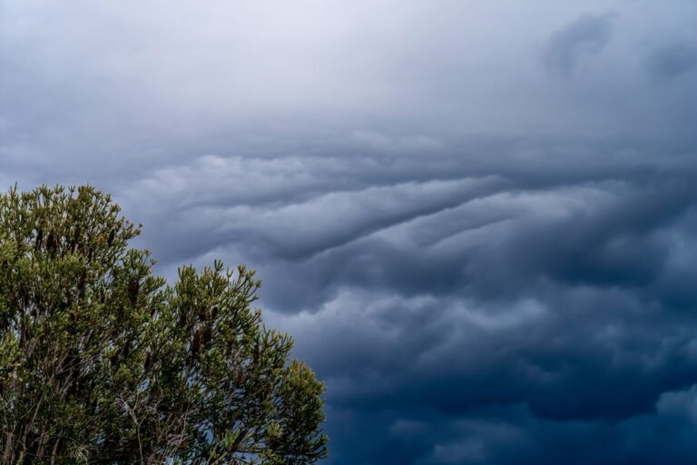 La Niña está chegando ao fim e clima deve ser neutro nos próximos meses