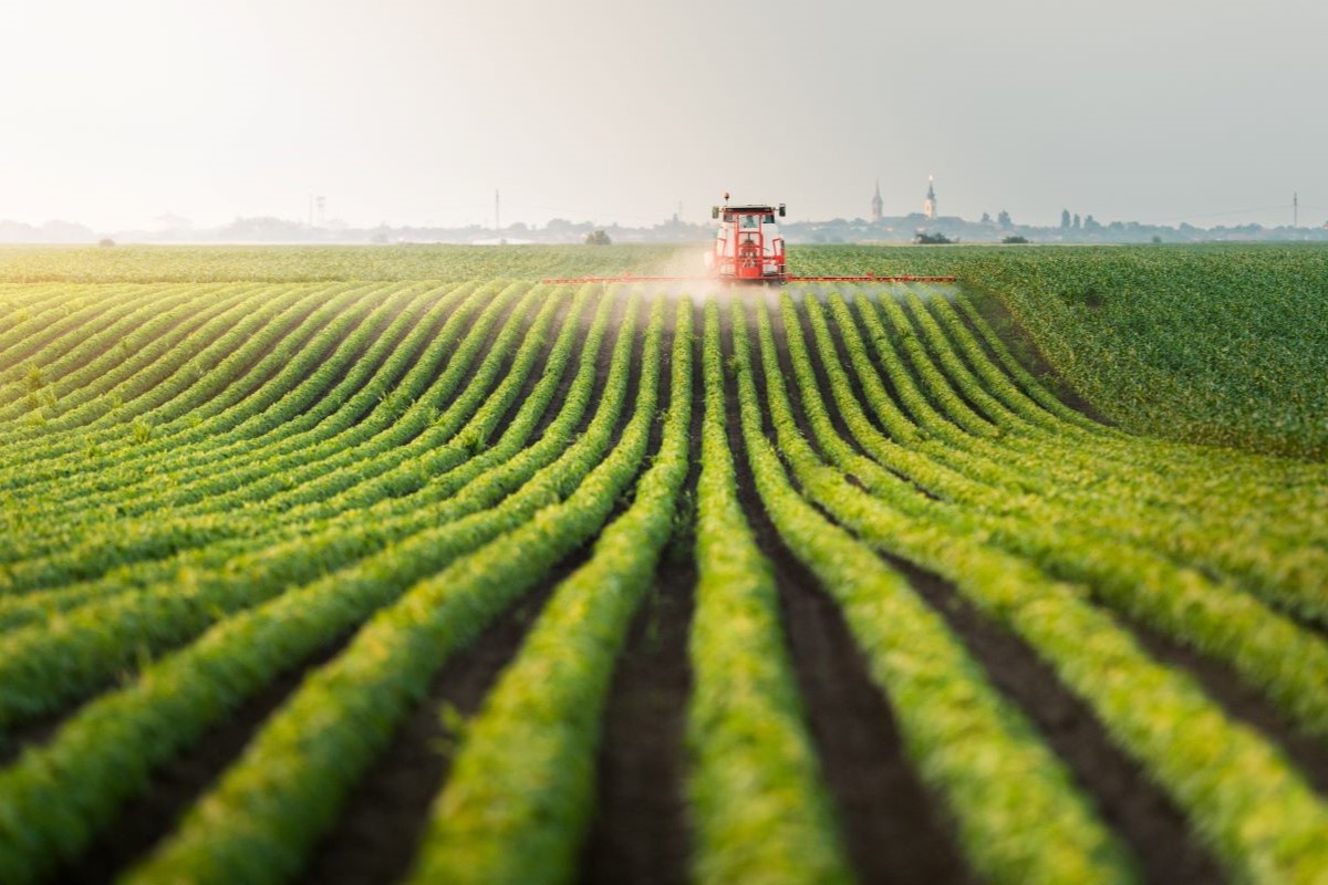 Foto: Adobe Stock