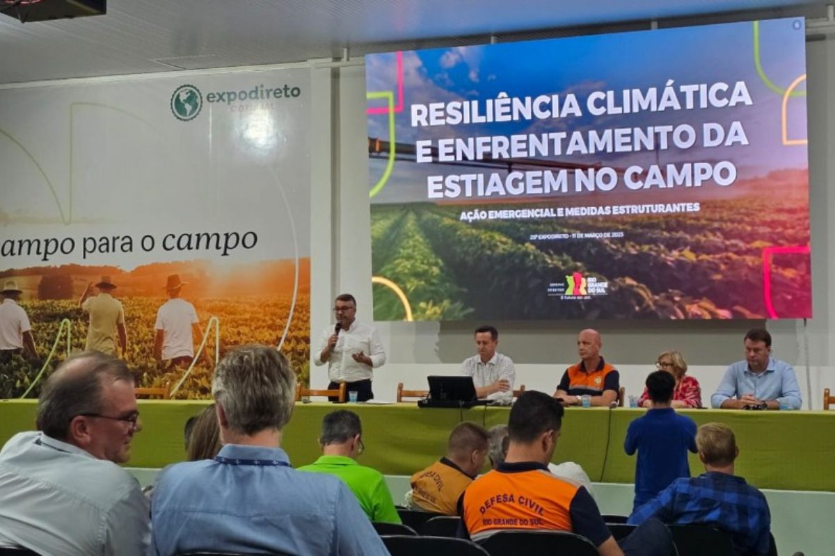Foto: Cassiano Cavalheiro/Fepam/Divulgação