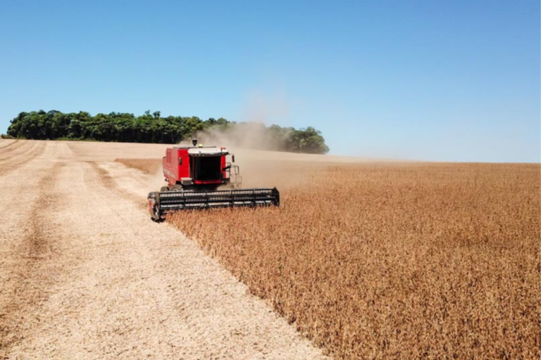 AgRural: colheita de soja atinge 77% no país