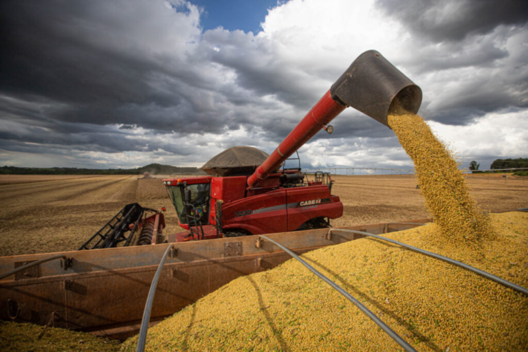 PIB: clima afeta safra e agropecuária recua 3,2% em 2024