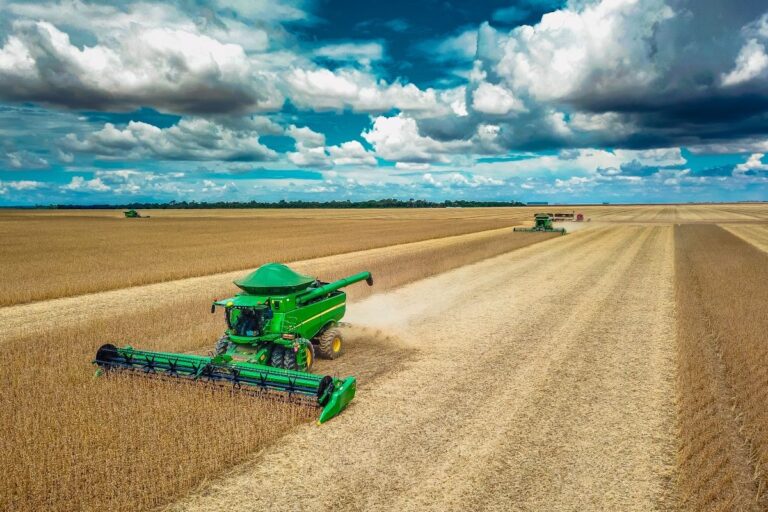 Soja: metade da área está colhida no Brasil, mas RS ainda preocupa, indica AgRural