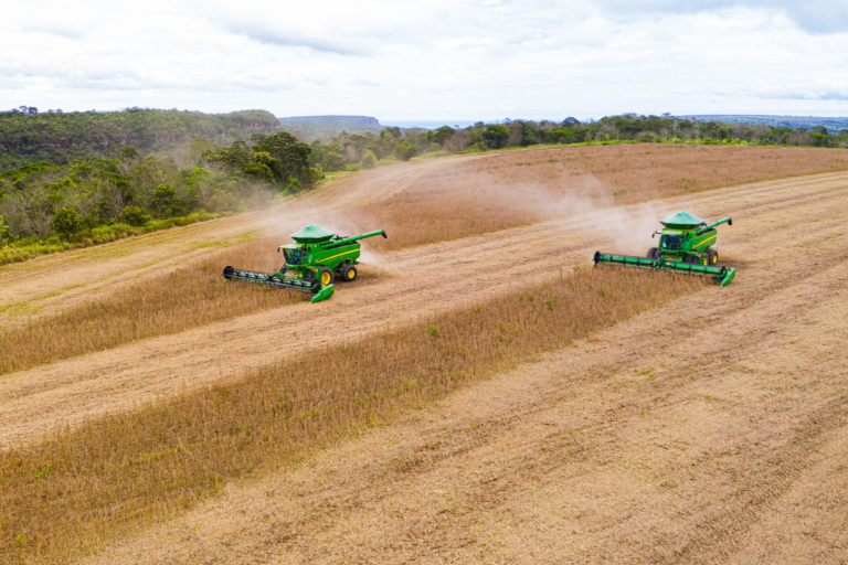 Brasil colheu 88% da área de soja 24/25, afirma Conab