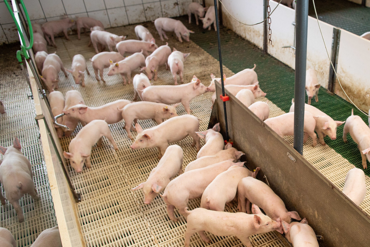 Foto: Wenderson Araujo/Trilux/CNA