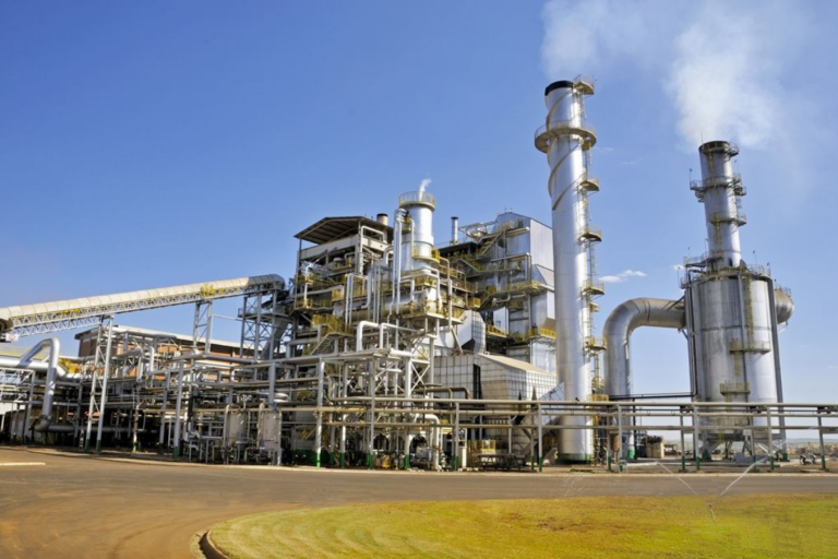Etanol: negócios aquecem no início da safra 2025/26