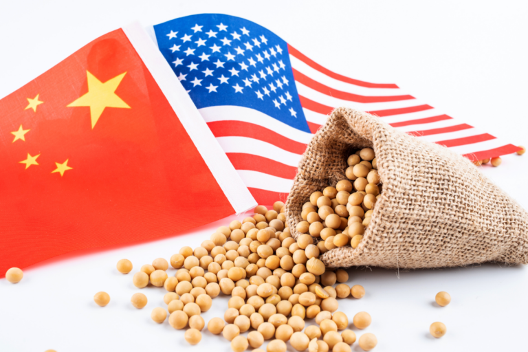China retalia EUA e cotação da soja despenca mais de 3%