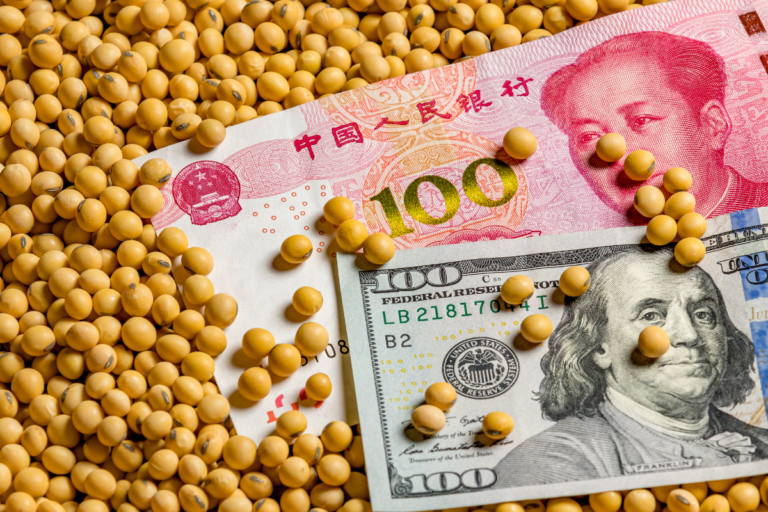 Soja brasileira ganha protagonismo com tensão entre EUA e China