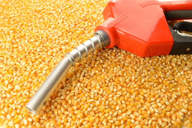 A ciência comprova: produção de biocombustíveis e de alimentos crescem juntas