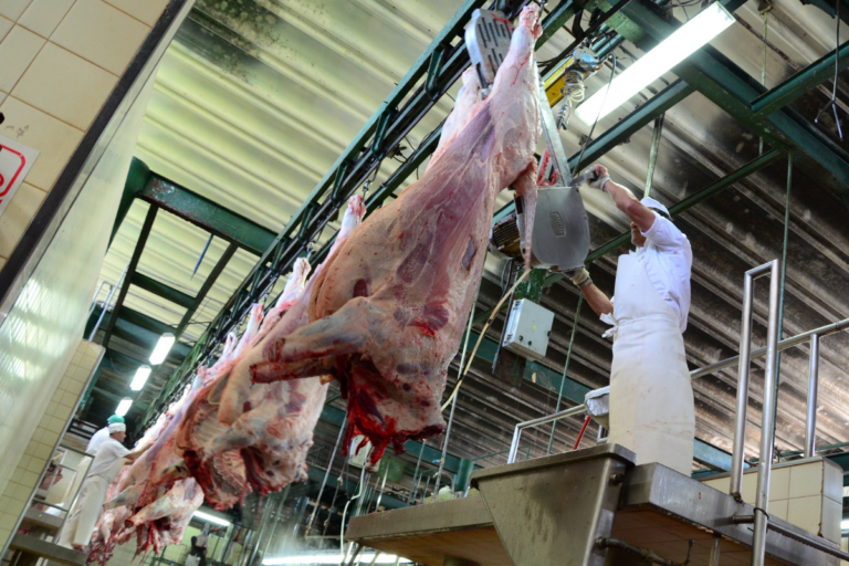 Carne bovina: oferta restrita e demanda forte elevam preços